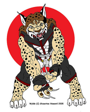 Lynx-wylde