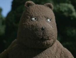 Hungrybeardomo
