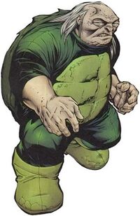 Turtle (DC)