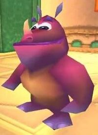 Rhynoc