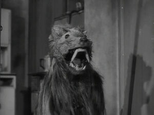 Killershrews4