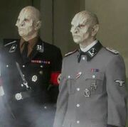 Vosk and Kraul