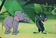 Mouse