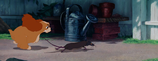 File:Lady-tramp-disneyscreencaps com-821.jpg
