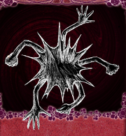 Card Suleika