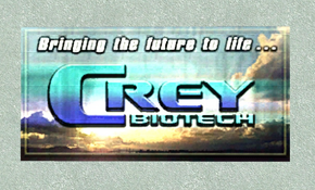 City of- Crey