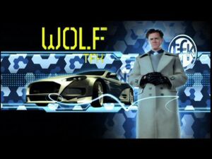 Wolf TFK