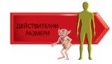 Tokoloshe4
