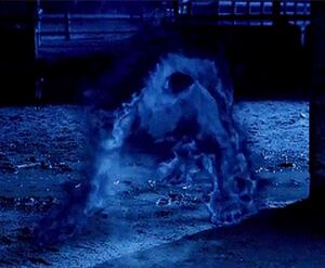 The Hellhound (Supernatural)