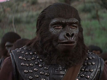 Aldo (Planet of The Apes)