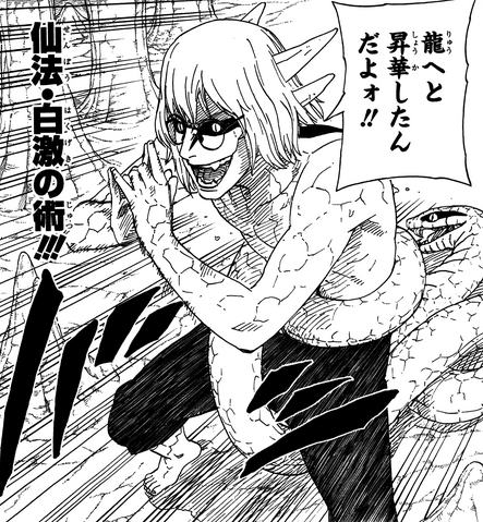 File:Snake Sage Mode.png