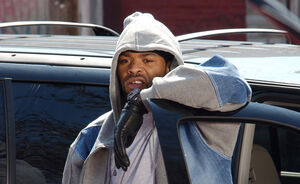 174thewire cheese article
