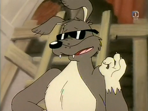 Danny Dingo