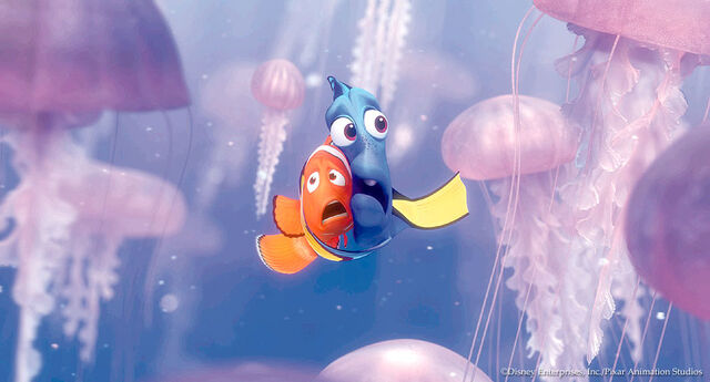 File:Jellyfish.jpg