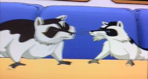 Stuart Little Racoons