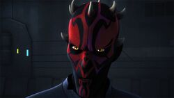 SWR 3 Maul