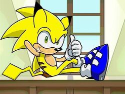 Sonichuthepikahog