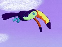 Taco the Toucan