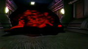 The Intruder 1
