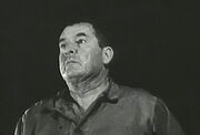 Griffin cuba