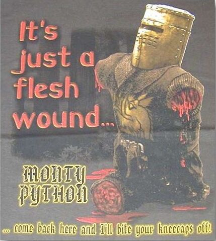 File:JUST A FLESH WOUND.jpg