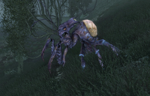 Elytra Dementia