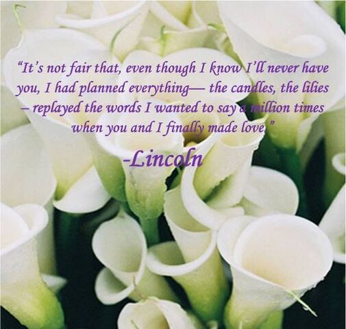 File:Lincoln.Quote4.jpg
