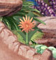 Tiger Lily