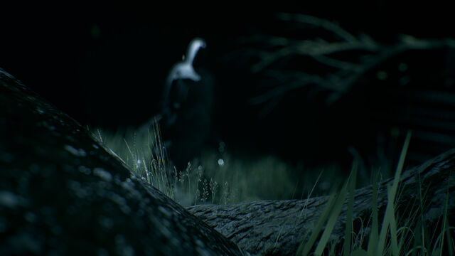 File:Entity Shade 03.jpg