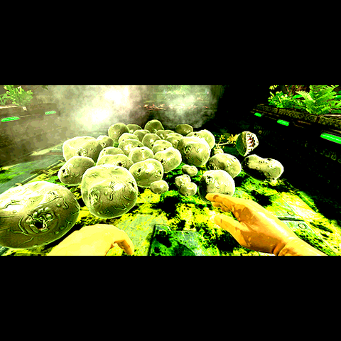 File:JaniTOSS sitephotos824.png