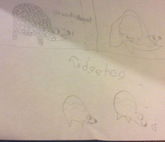 File:Facts about fudgehogs.jpeg