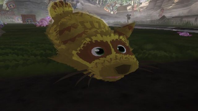 File:WildcardMacaracoon.jpg