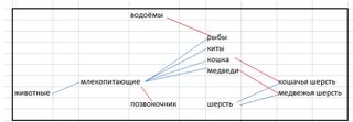 Семантическая карта.jpg