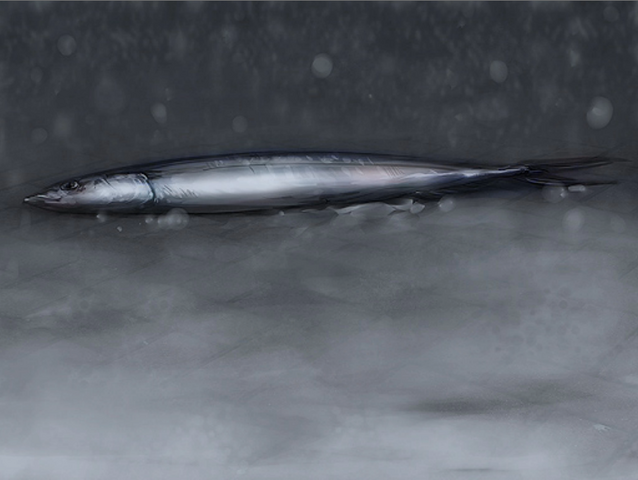File:Pike.png