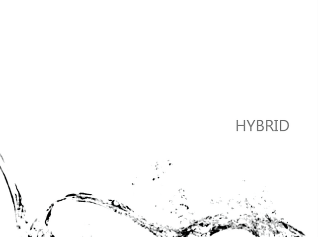 File:HYBRID - niki.png