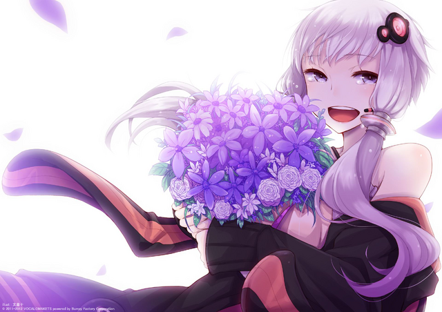File:Yukari's anniversary.png