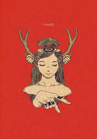 Datei:Hachi.Yankee limited.jpg