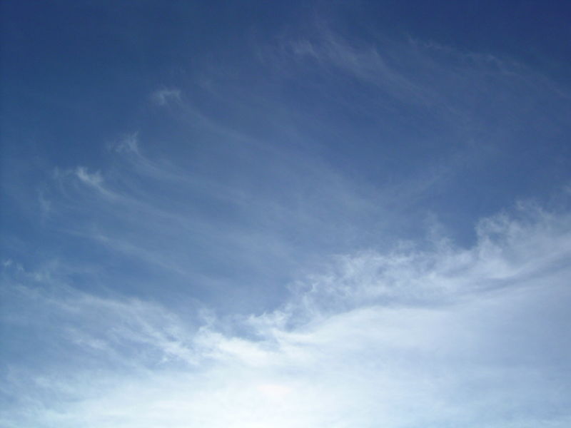 Feine Cirren 20040830.jpg