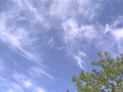 Cirrus (nuage).jpg