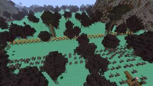 Battle5