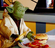 Yoda having lunch