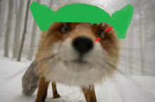 Куролис.png