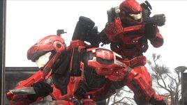 Reach 29495 Medium