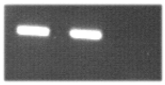 Datei:Mag figure21b.png