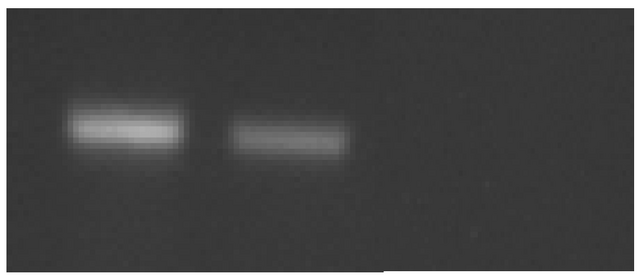 Datei:Mag figure34b.png