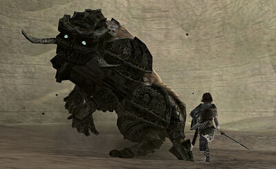CelosiaWander