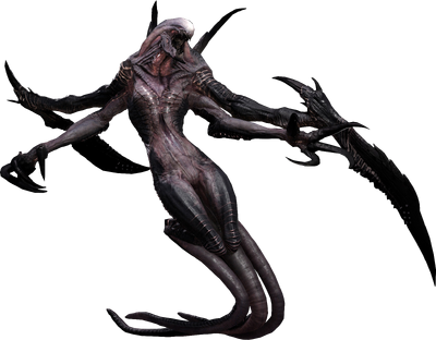 Wraith
