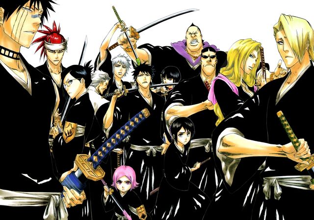 File:Gotei13Lieutenants.jpg