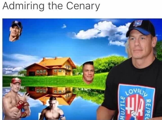 File:Admiring the cenary.jpg