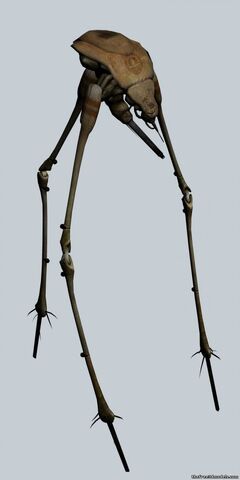 File:L94179-strider-59303-1-.jpg